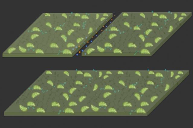 An advantage of the new material is a incorporated self-healing effect. Image: MIT
